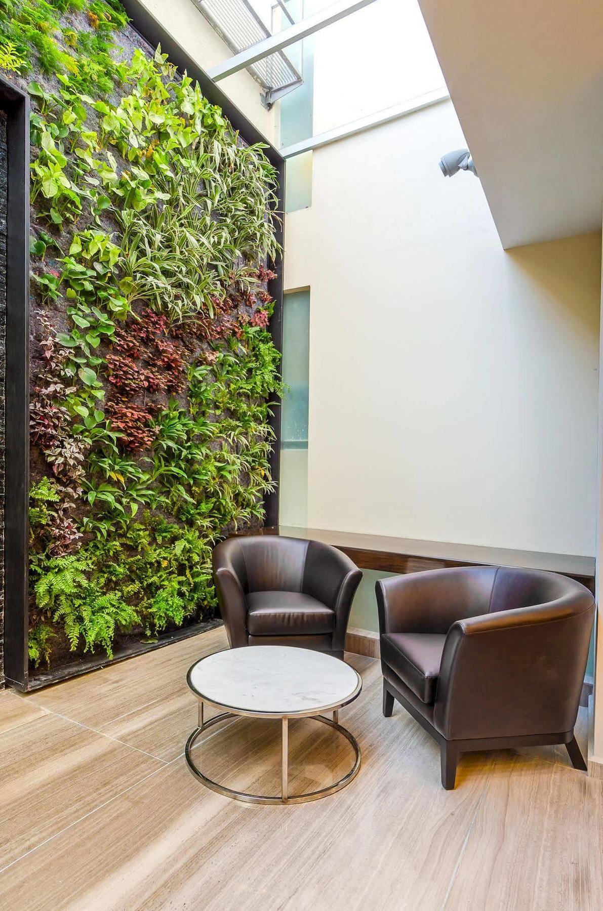 Hotel Zenith Tehuacán 외부 사진